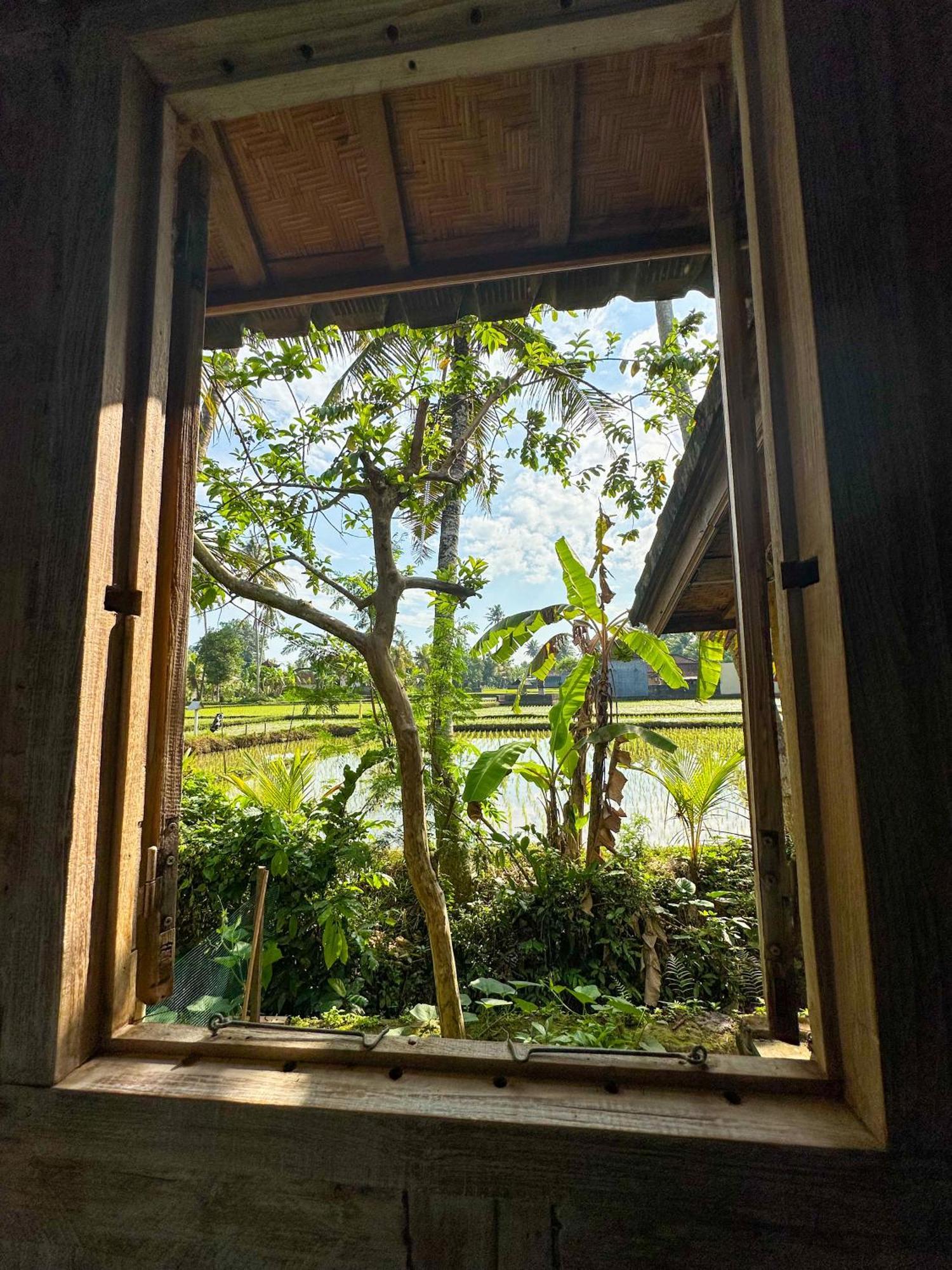 Nunu Bali Eco Friendly Retreat Ξενοδοχείο Canggu Εξωτερικό φωτογραφία